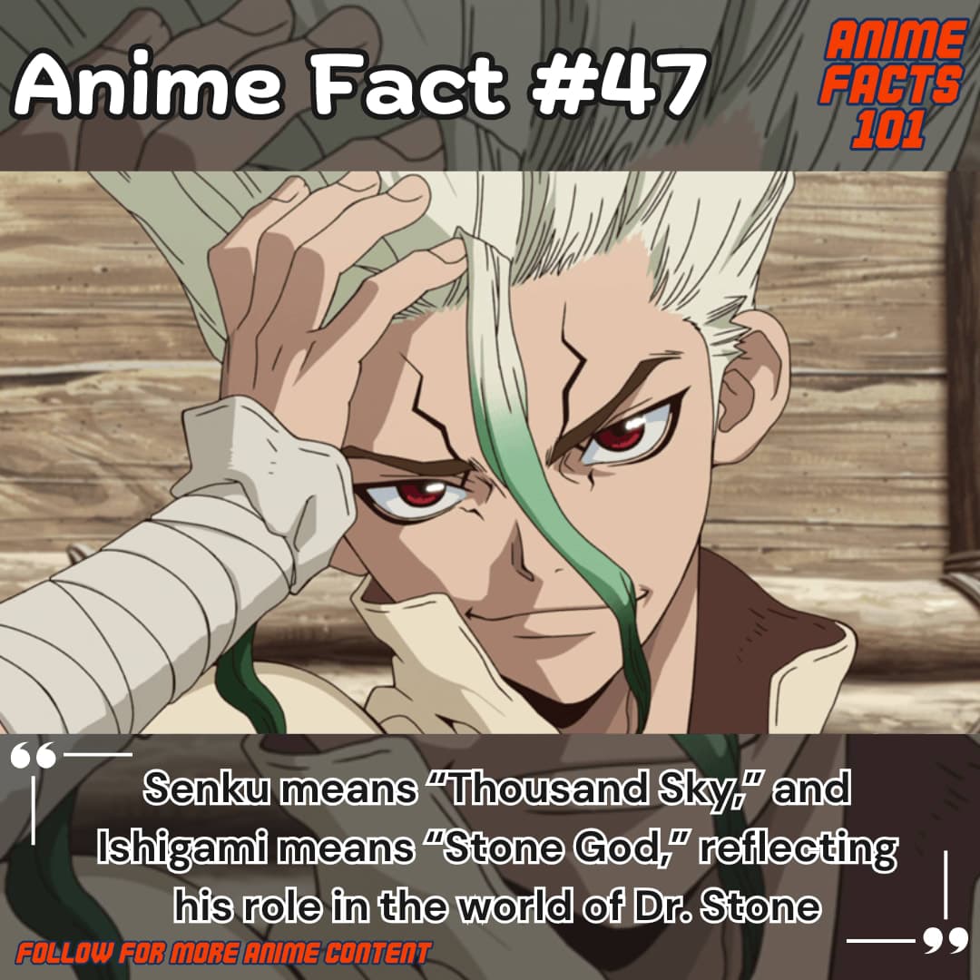 Dr. Stone