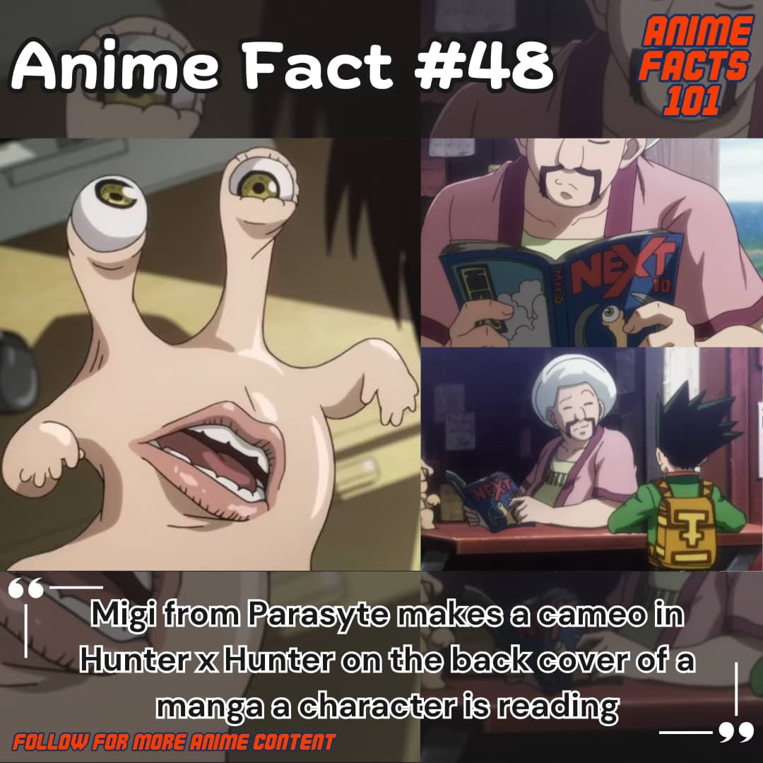 Hunter x Hunter